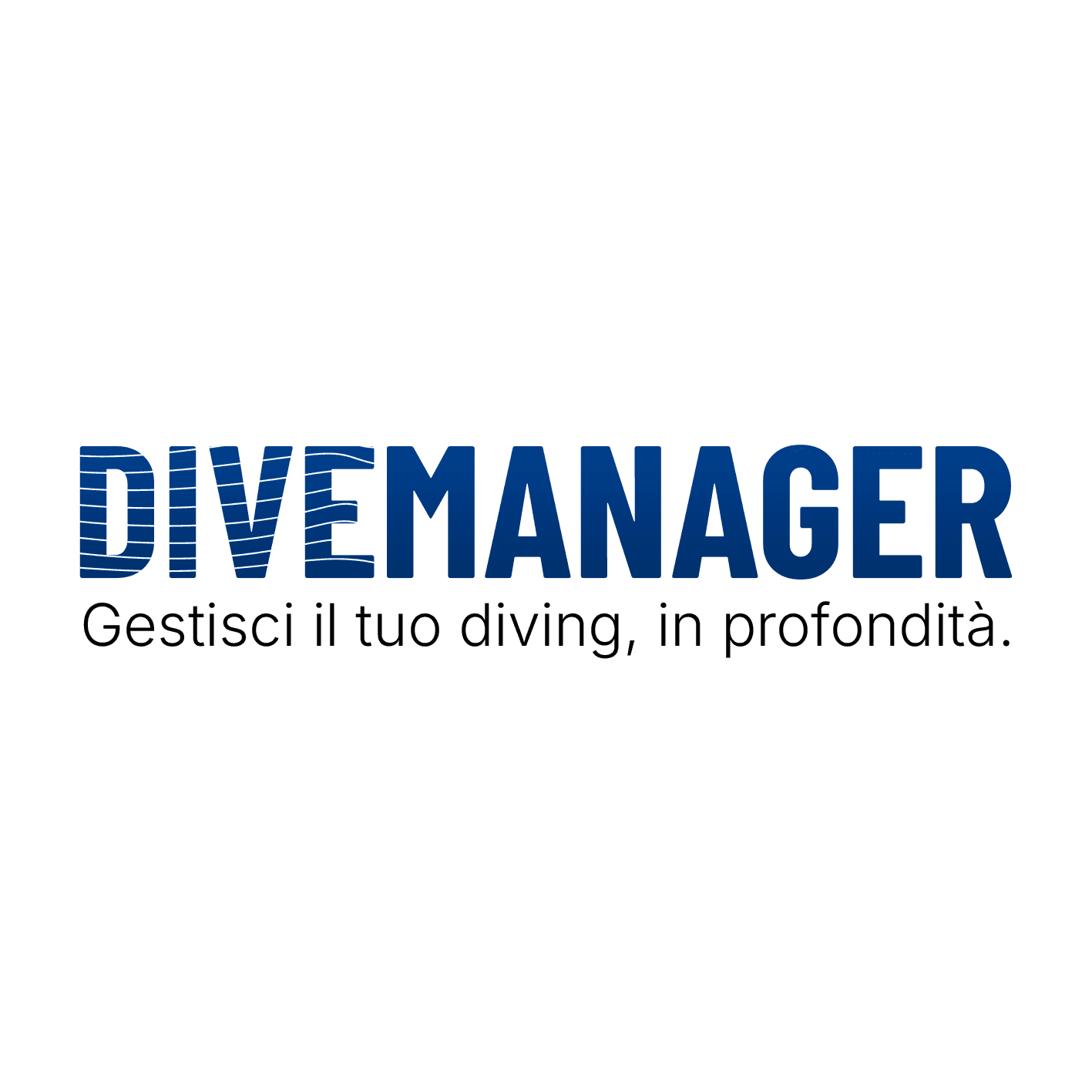 Dive Manager